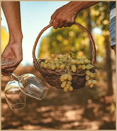 druiven in mandje en wijn glazen