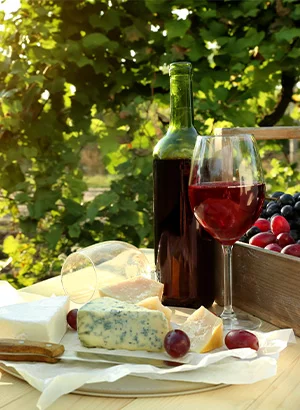 glas rode wijn, naast de fles rode wijn, druiven en kaasschotel