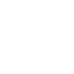 Savinoli logo