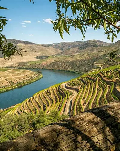 Douro in porto wijngaard langs de rivier